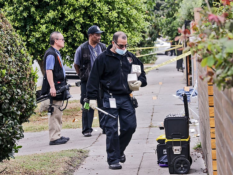 1.1913170-4244445281