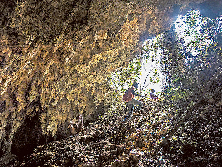 1.1914701-3976741547