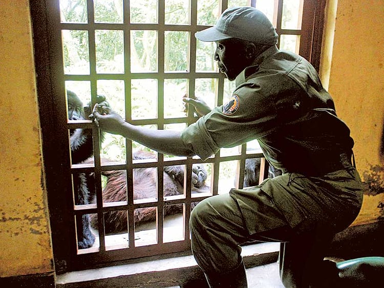 1.1915093-2530558808