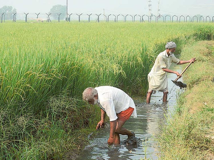 1.1905745-2359770264