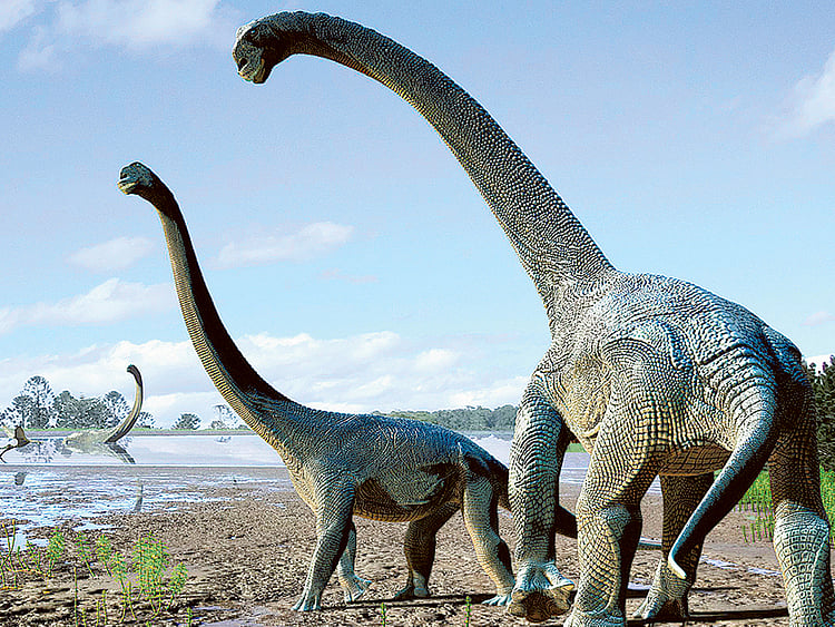 1.1916225-2715601653