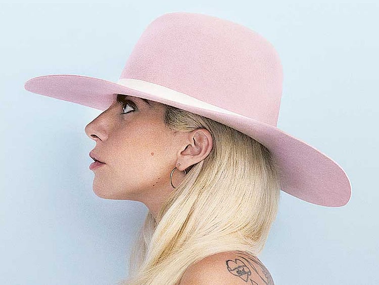 1.1916476-1363474888