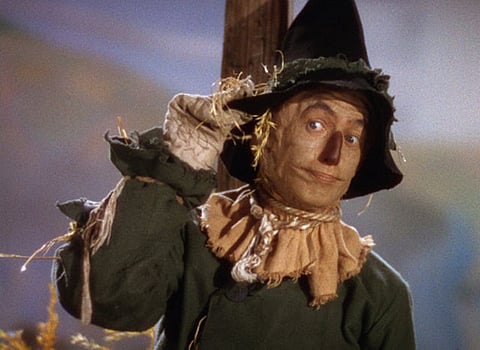 Smithsonian raising money for ‘Oz’ costume