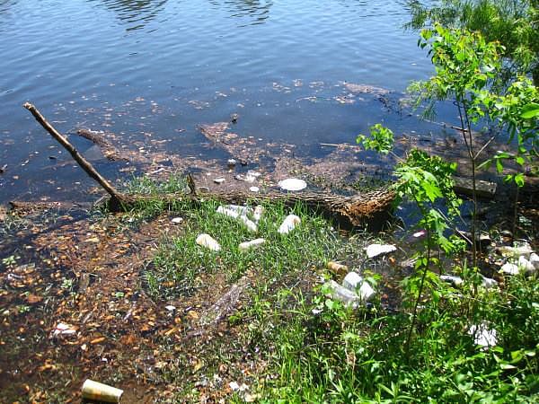 1.1919203-3170723387