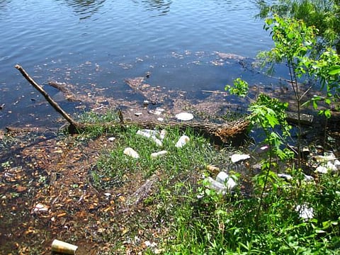 #StopLittering say social media users