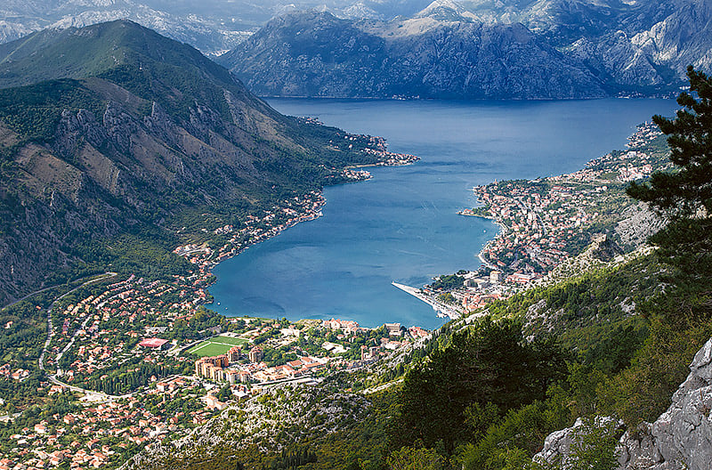 1.1919460-1174940718