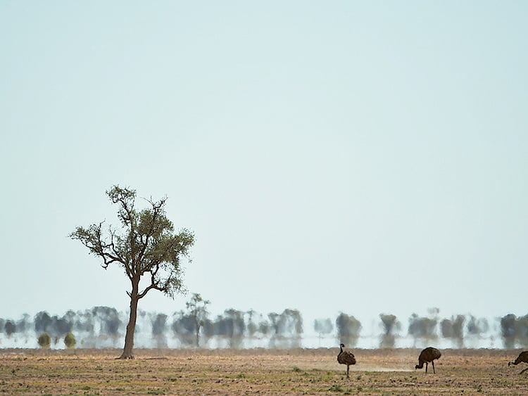 1.1919640-2695311739