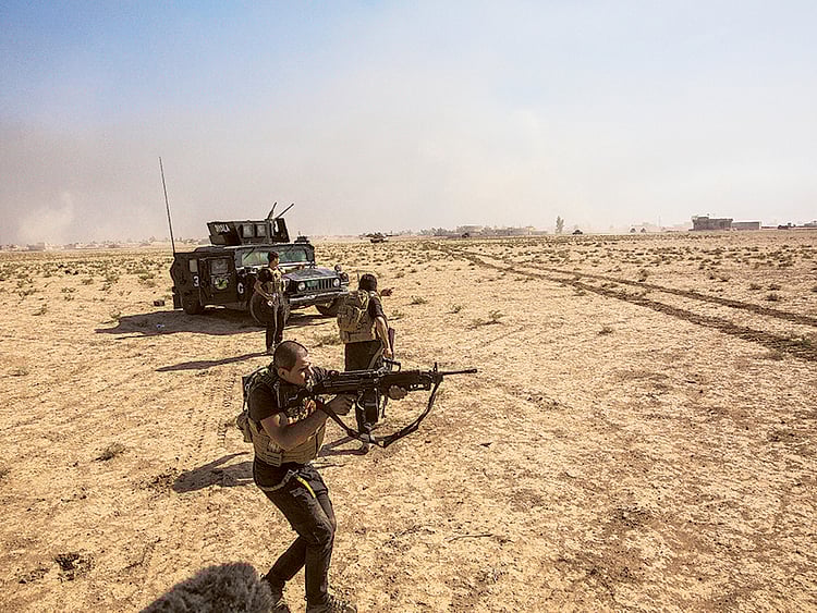 1.1919986-2202449469