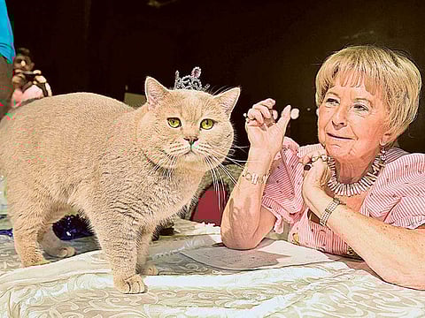 Clint Egbert/Gulf News