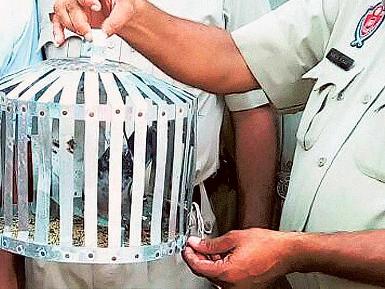 1.1906298-1132884258