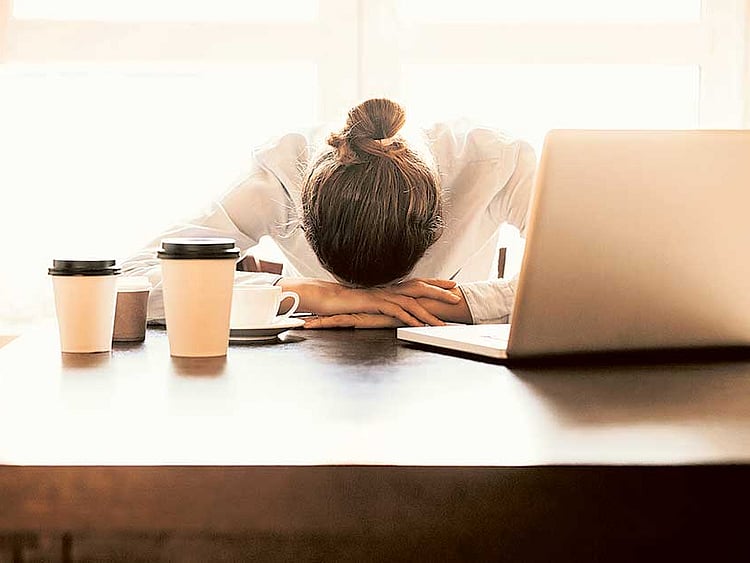 1.1907318-4211135891