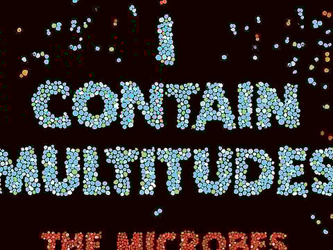 Microbes help to shape and maintain our bodies