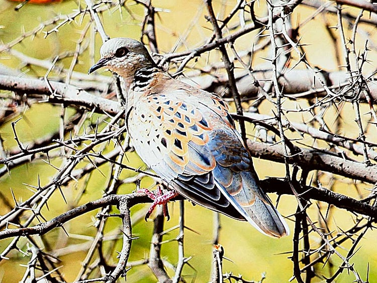 1.1908256-2389591014