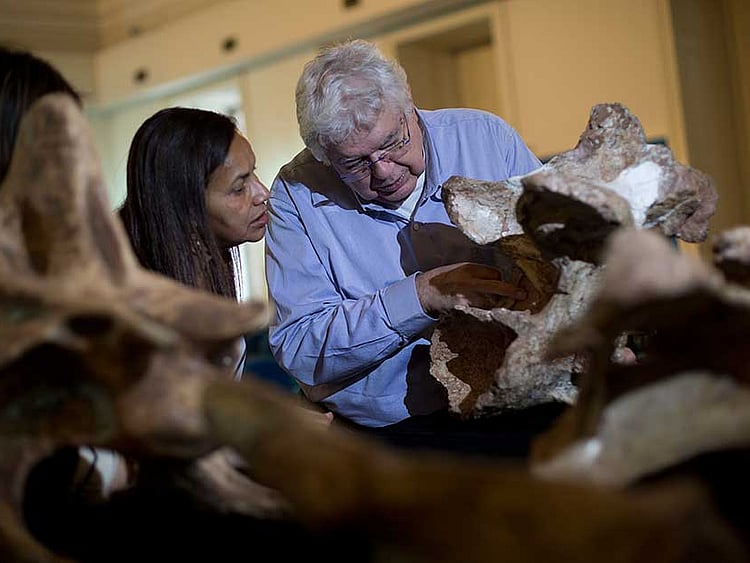 1.1908715-1406418278