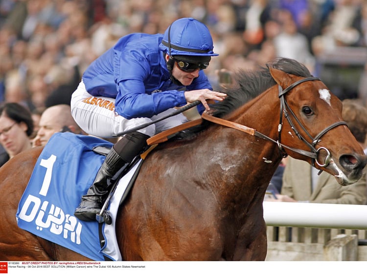 1.1909139-1119539654