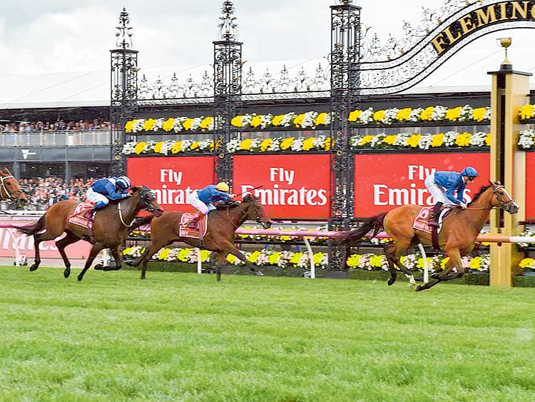 1.1922404-1568525645