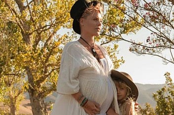 1.1928517-3803158093