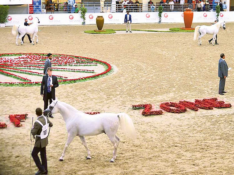 1.1929382-1949237011