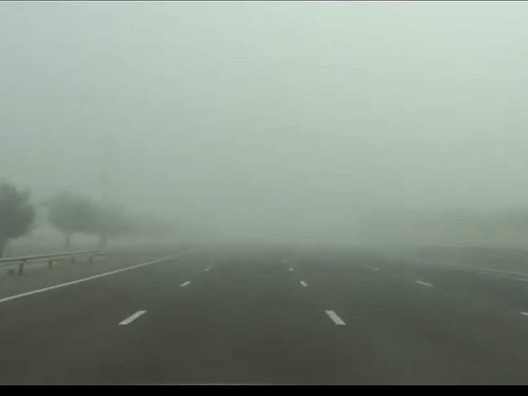 1.1930204-2634136833