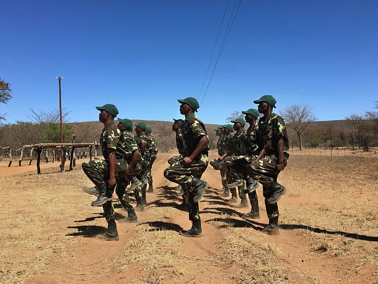 1.1930486-2738402261