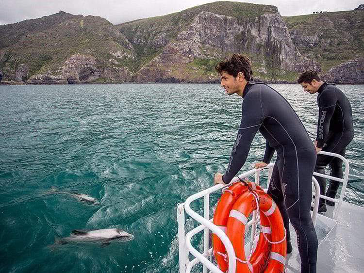 1.1931500-3030091833