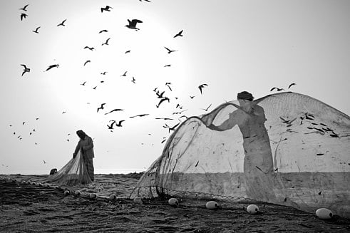 1.1931890-1765787376