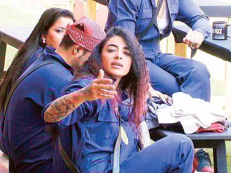 1.1932441-1130849493