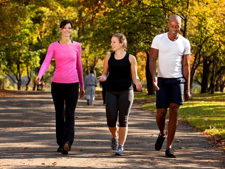 1.1933452-2721528387