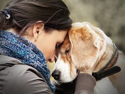 Getty Images/iStockphoto