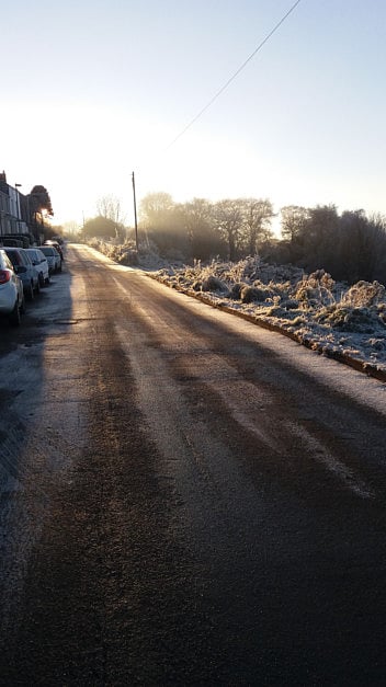 1.1936179-3018050399