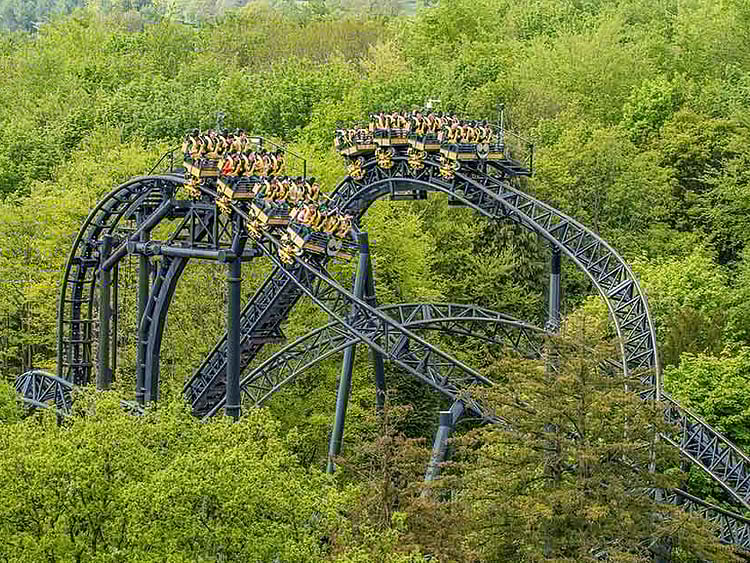 1.1936623-3849022421