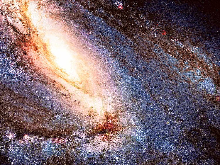 1.1937002-3390974761