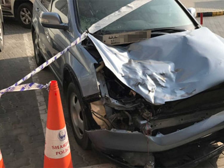 1.1923652-3299907831