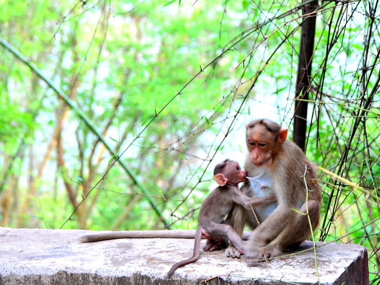 1.1923979-1769159291