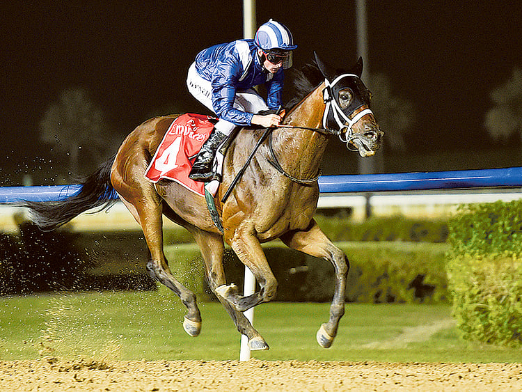 1.1924022-1656750361