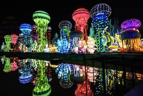 Things to do in UAE on November 6