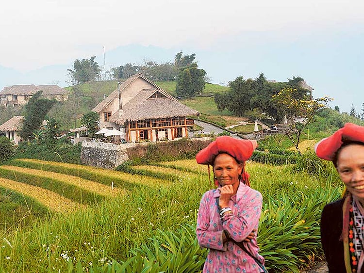 1.1924852-2036454901