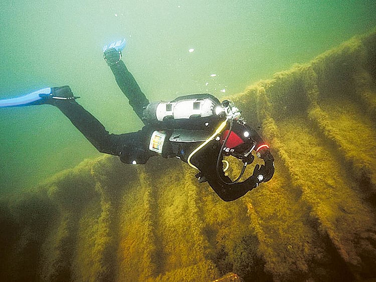 1.1925502-3640746703