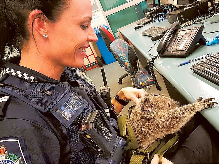 1.1925561-1750658873