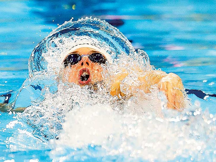 1.1942967-4153789102