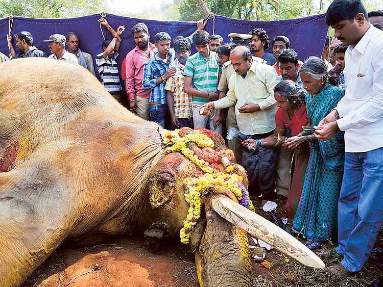 1.1943023-2313543476