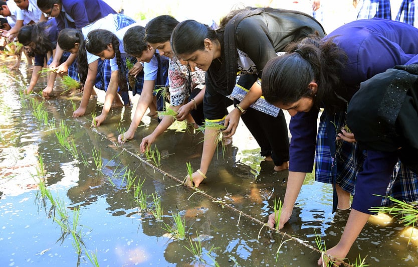 1.1942983-2057414361