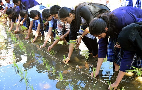 Arshad Ali/Gulf News