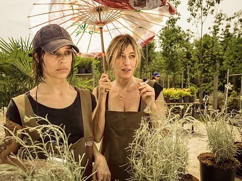 Diff film review: ‘Like Crazy’