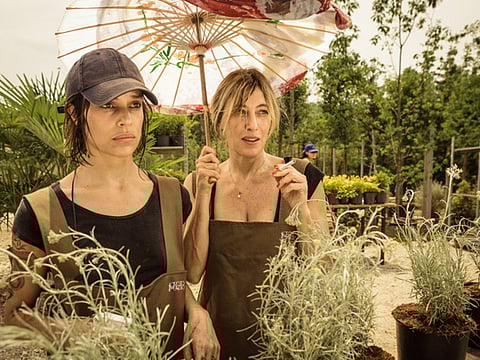 Diff film review: ‘Like Crazy’