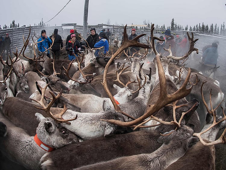 1.1943681-2218028353