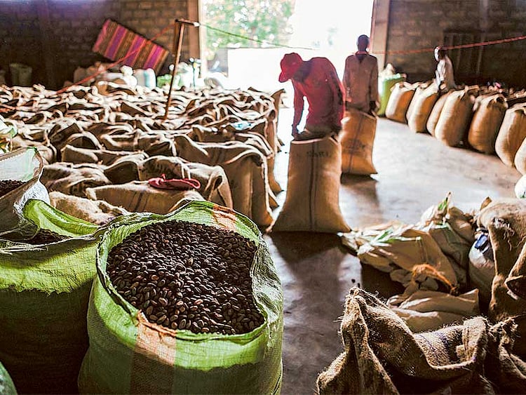 1.1948031-3716425533