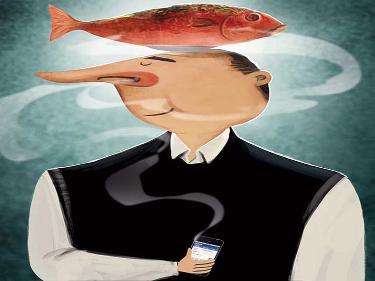 1.1948232-2495753558