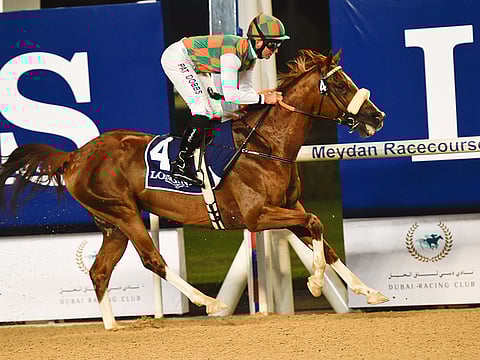  Virendra Saklani/Gulf News