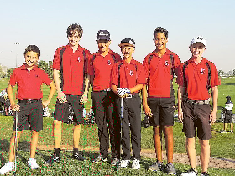 1.1949164-2669904026